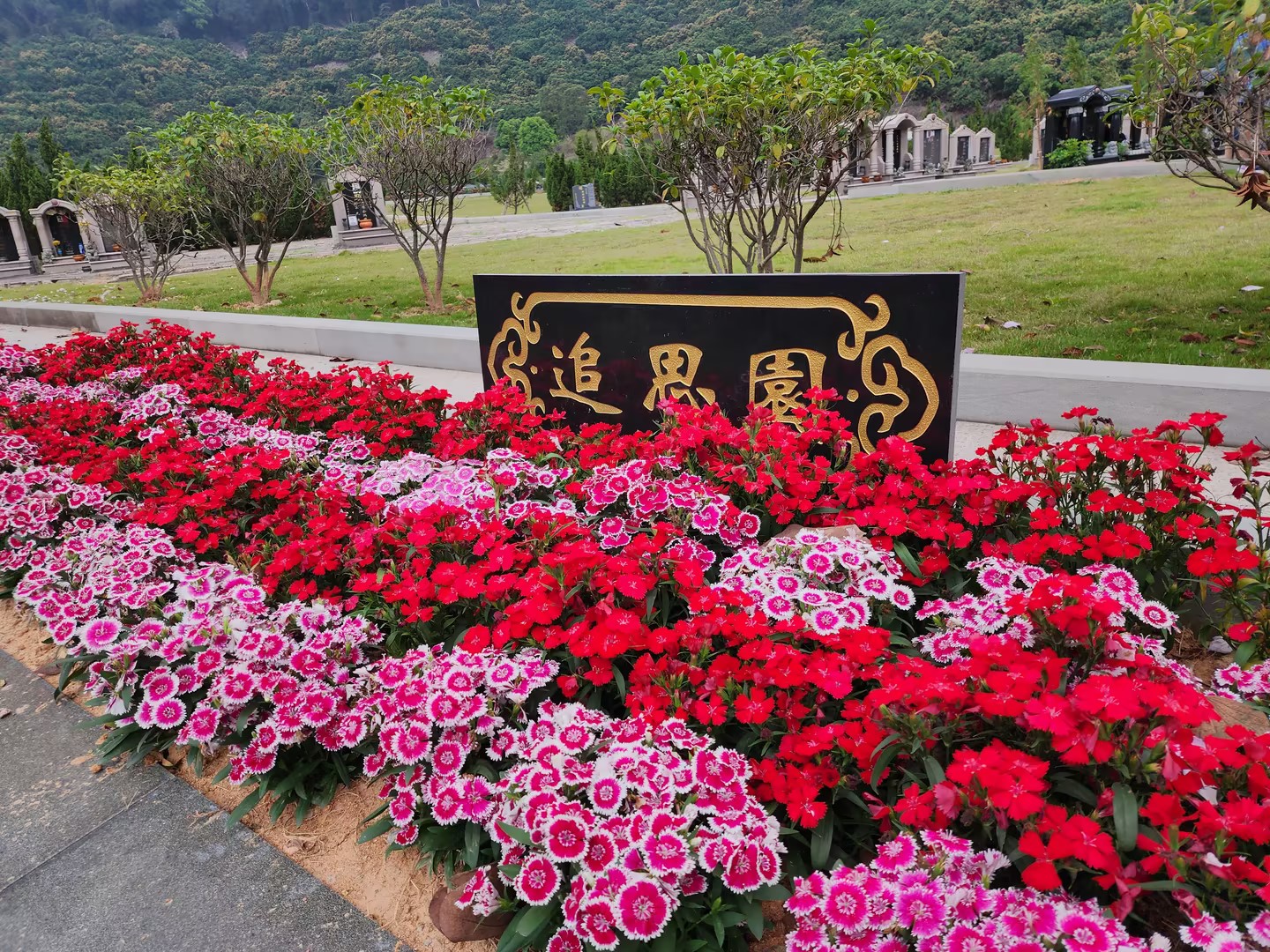 AD0IsYr2BhACGAAg0p22zAUotMb52AMwrAI4tgE